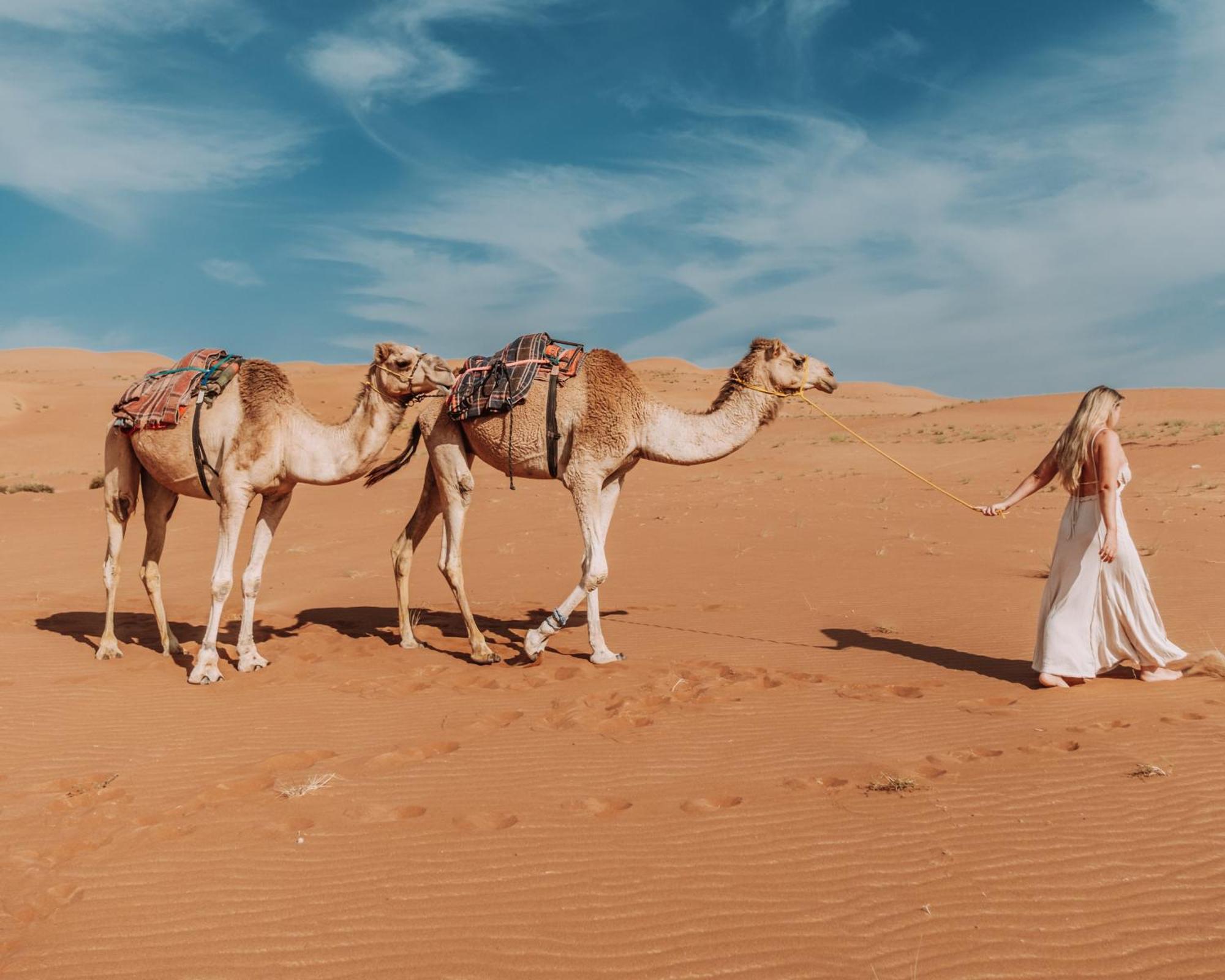 فندق مخيم سما الوصل شاحك المظهر الخارجي الصورة